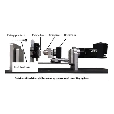 Zebrafish Vestibular Ocular Reflex Testing System
